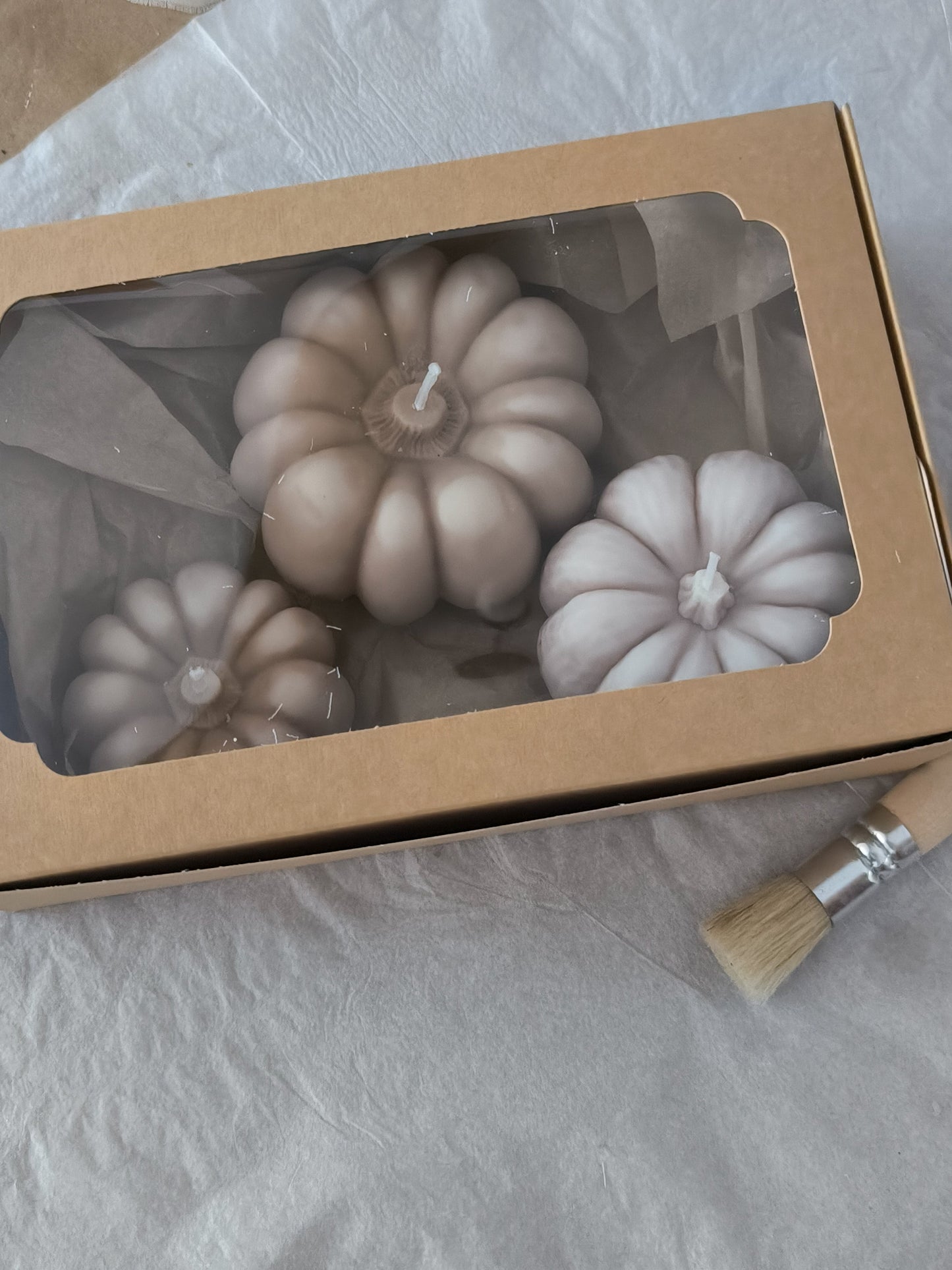 CALABAZAS - aromáticas y artesanas