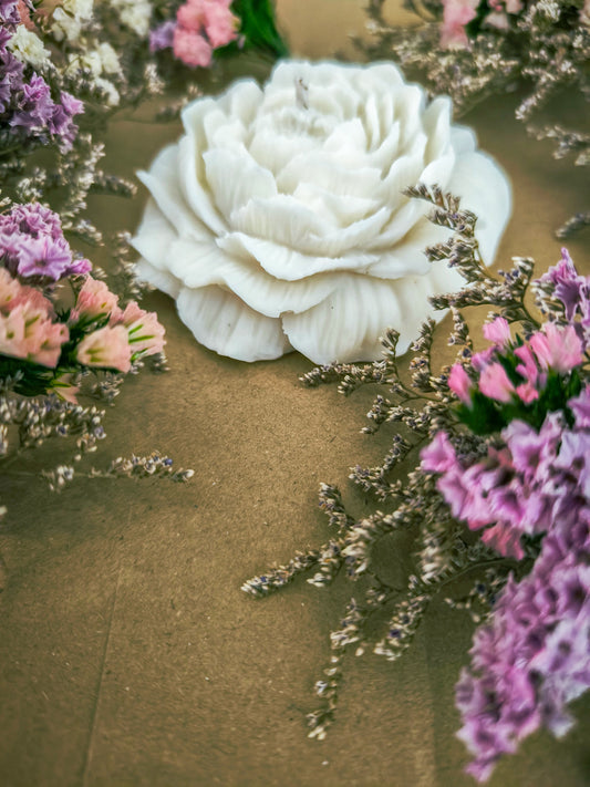 CAJA VELA PEONÍA AROMÁTICA