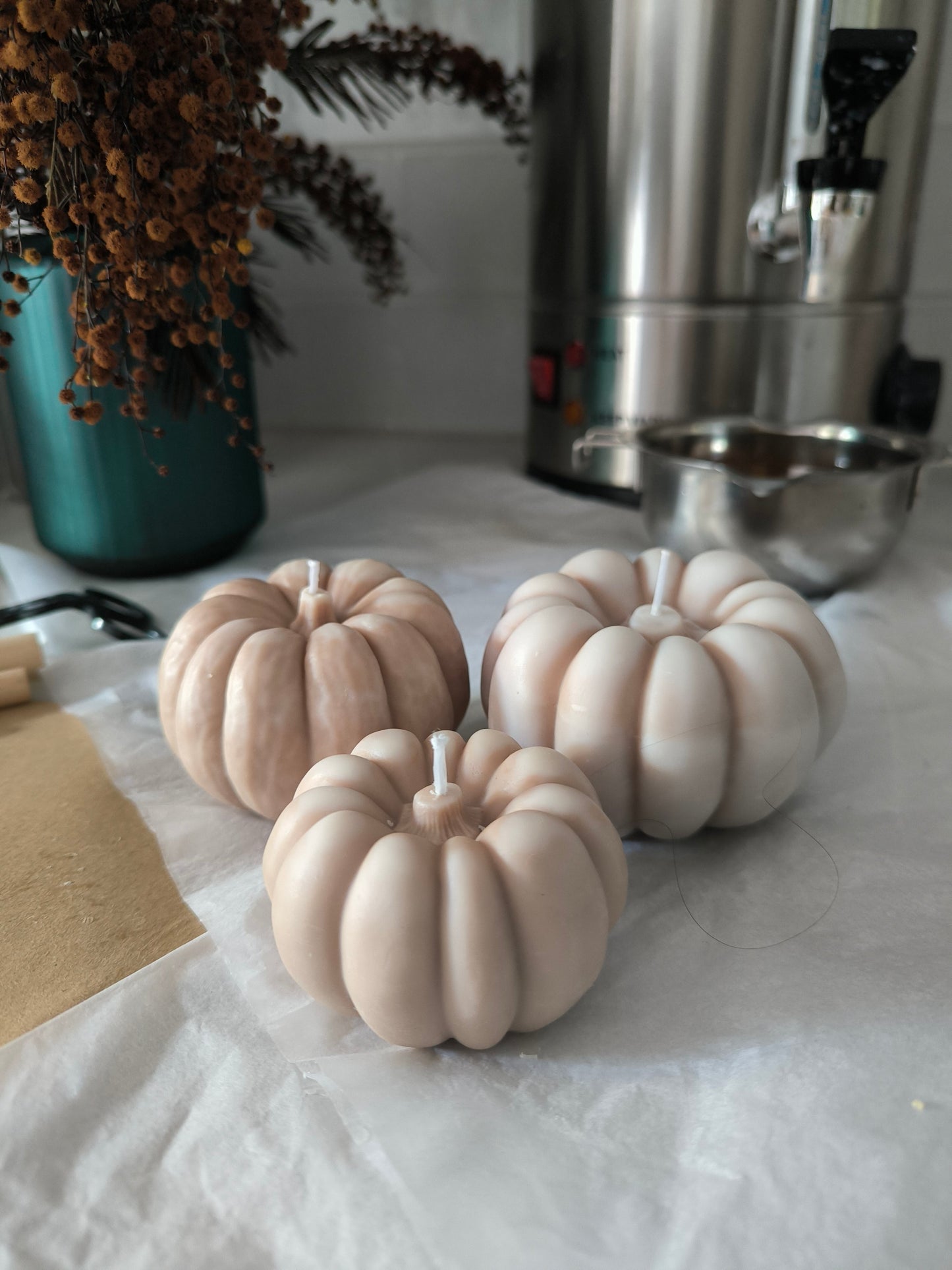 CALABAZAS - aromáticas y artesanas