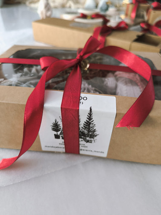 EL BOSQUE DE SAN NICOLÁS