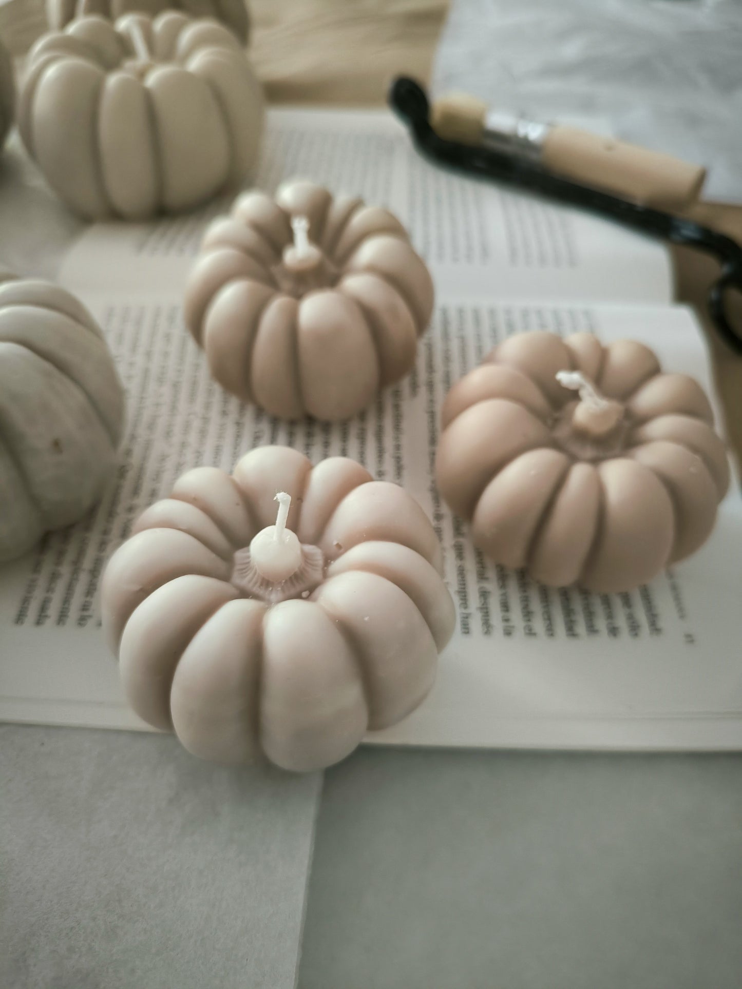 CALABAZAS - aromáticas y artesanas