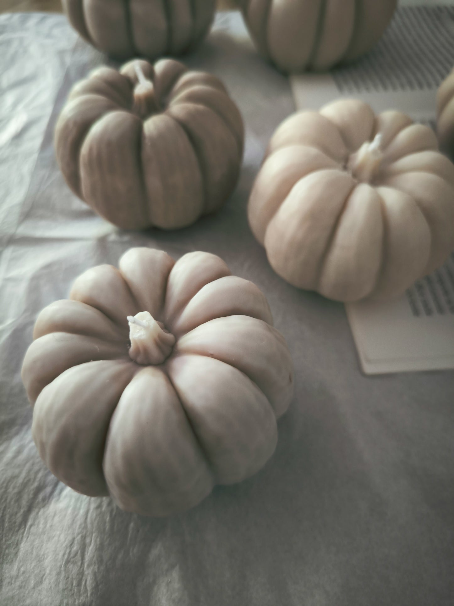 CALABAZAS - aromáticas y artesanas
