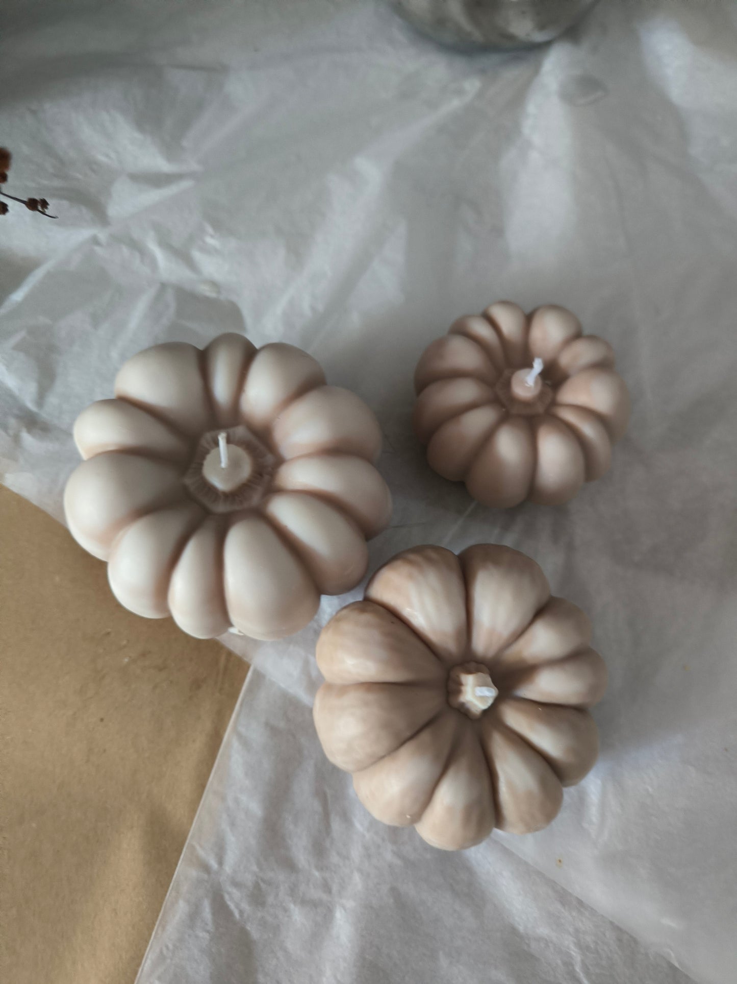 CALABAZAS - aromáticas y artesanas