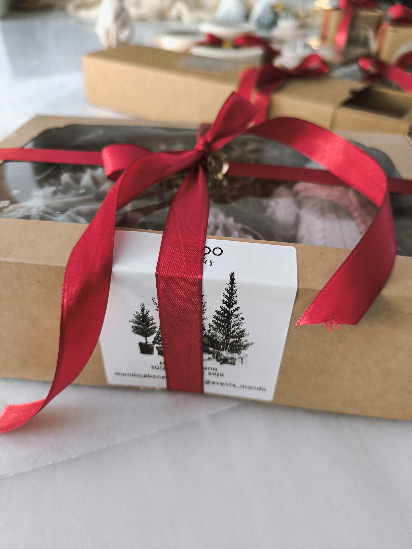 EL BOSQUE DE SAN NICOLÁS