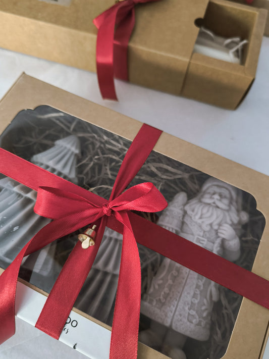 EL BOSQUE DE SAN NICOLÁS