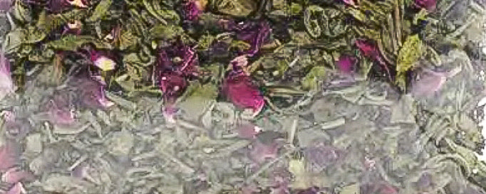 TÉ ORGÁNICO PREMIUM